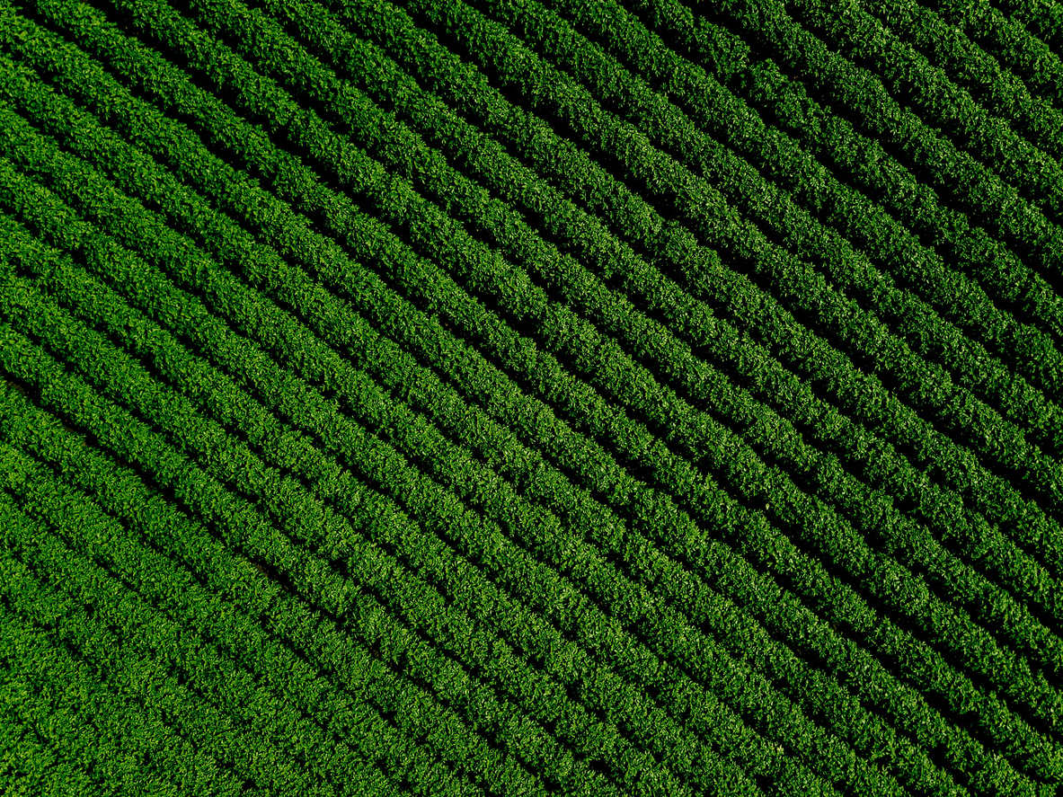 Sicredi anuncia Plano Safra 23/24